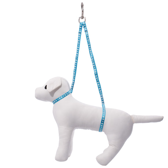 Groom Professional Dual Noose Blue – Double Grooming Leash with Dog Paw Design, Adjustable
