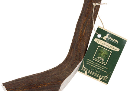 Escapure Hirschgeweih Chew Stick XL – Natural Deer Antler, Long-Lasting Chew Toy