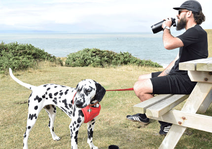 KONG Duo Drinker 910ml – 2-in-1 Water Bottle with Integrated Bowl, Leakproof Design