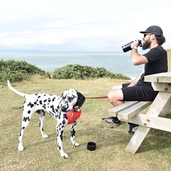 KONG Duo Drinker 910ml – 2-in-1 Water Bottle with Integrated Bowl, Leakproof Design