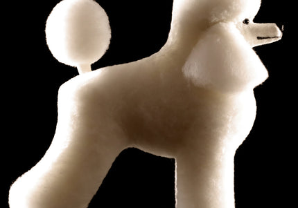 Mr. Jiang Poodle Full Body Hair Lamb – Cream Replacement Fur, Realistic Texture for Grooming Mannequin