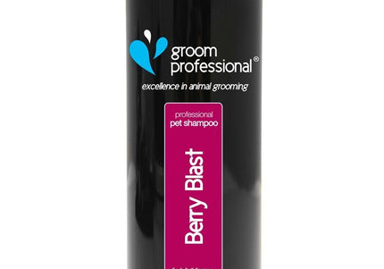 Groom Professional Berry Blast Shampoo – Concentrated Cleansing Formula with Blackberry and Raspberry Extract, 350ml