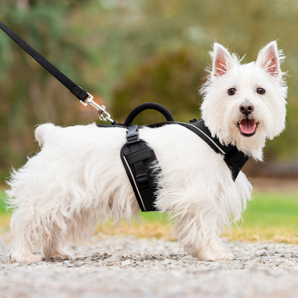 PetSafe Easy Sport Harness Black – Pressure-Free Adjustable Dog Harness, Small Size
