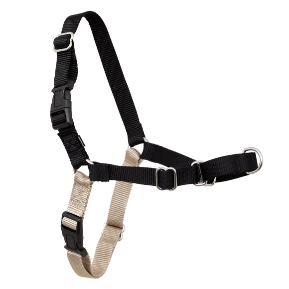 PetSafe Easy Walk Harness and Leash Set – Adjustable Black, Small, Comfortable Fit