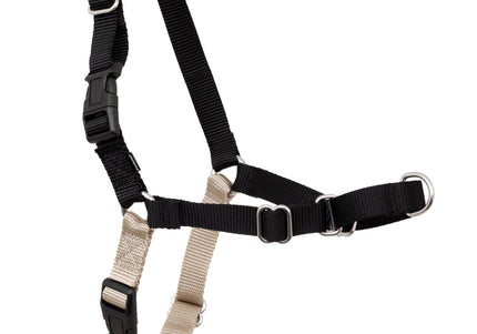 PetSafe Easy Walk Harness and Leash Set – Adjustable Black, Small, Comfortable Fit