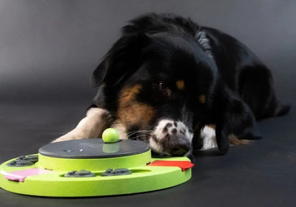 Eat Slow Live Longer Puzzle Circle – Interactive Round Intelligence Toy, Durable Design