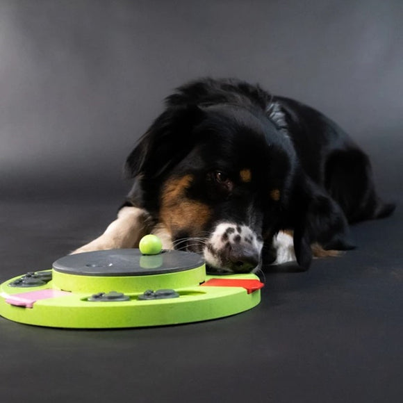 Eat Slow Live Longer Puzzle Circle – Interactive Round Intelligence Toy, Durable Design