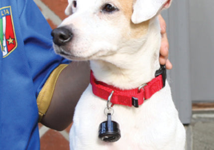 PetSafe SmartDoor Electronic Pet Door Large – Automatic Secure Entry with Programmable Access