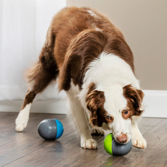 PetSafe Ricochet Electronic Dog Toy – Interactive Squeaking Balls, Engaging Play Design