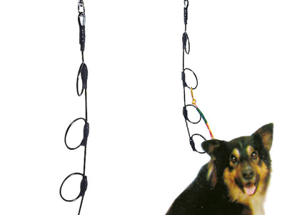 Blovi Vertical Rope Lead 65cm – Durable Multi-Dog Walking Accessory with Secure Clips