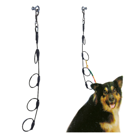 Blovi Vertical Rope Lead 65cm – Durable Multi-Dog Walking Accessory with Secure Clips