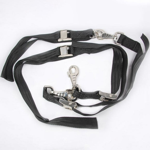 Show Tech Grooming Noose Set – Heavy-Duty Adjustable Nylon Leashes, 2.5cm Wide, 3 Pack