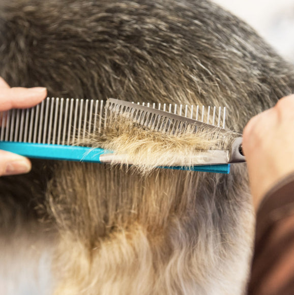 Ehaso Revolution Chunker 6" Thinning Shears – Japanese Steel, 22 Teeth, Professional Precision