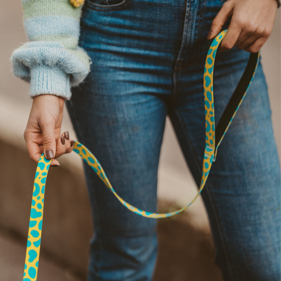 Julius-K9 MoreColor Leopard Tape Leash 120cm – Neoprene Handle, Yellow and Turquoise