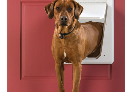 PetSafe SmartDoor Electronic Pet Door Large – Automatic Secure Entry with Programmable Access
