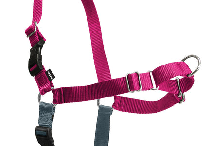 PetSafe Easy Walk Harness and Leash Set – Raspberry Pink, Large, Comfortable No-Pull Design