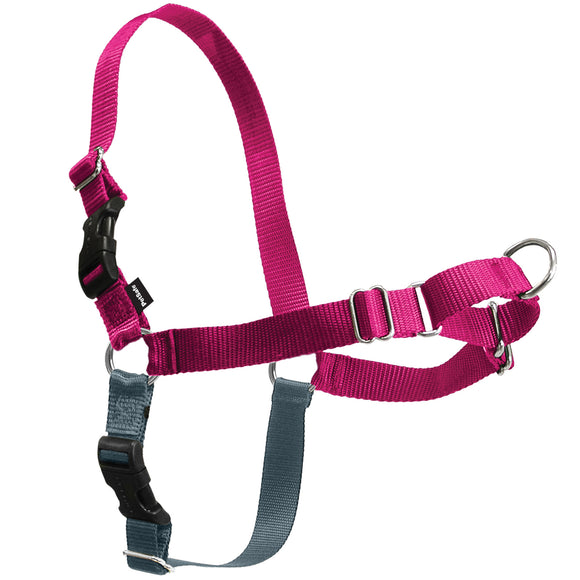 PetSafe Easy Walk Harness and Leash Set – Raspberry Pink, Large, Comfortable No-Pull Design