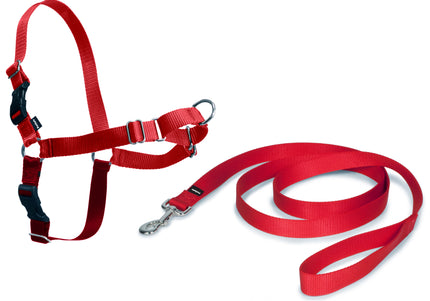 PetSafe Easy Walk Harness and Leash Set – Red, XL, Adjustable, Comfortable Design