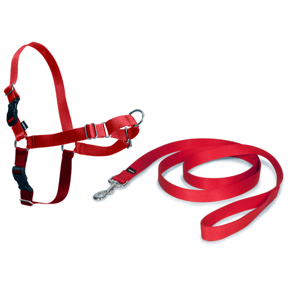 PetSafe Easy Walk Harness and Leash Set – Red, XL, Adjustable, Comfortable Design