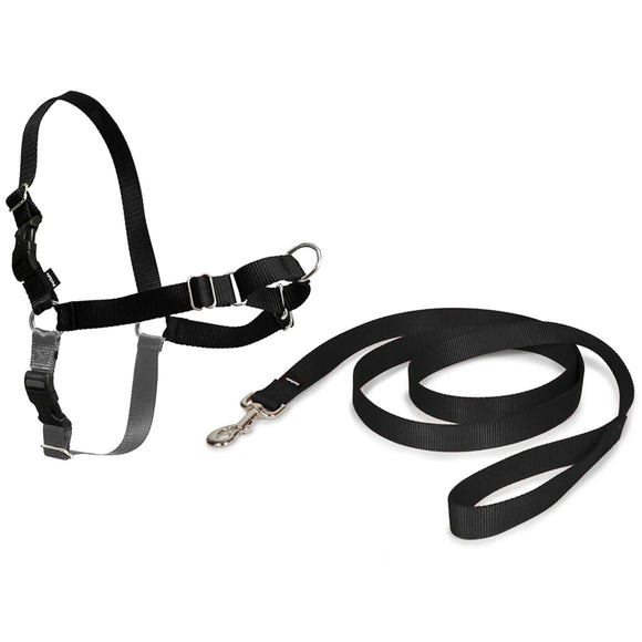 PetSafe Easy Walk Harness and Leash Set – Adjustable Black, Small, Comfortable Fit