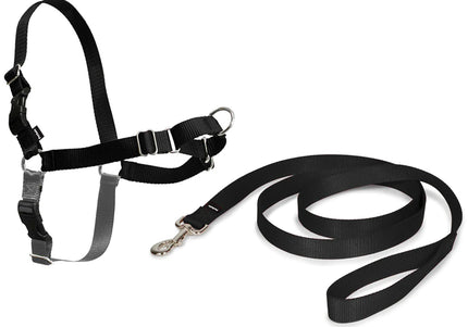 PetSafe Easy Walk Harness and Leash Set – Adjustable Black, Small, Comfortable Fit