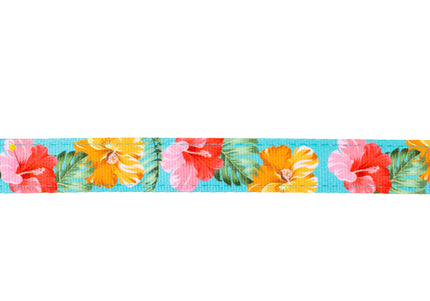 Max&Molly GOTCHA! Smart ID Cat Collar Exotique – Colorful Adjustable Collar with Smart Tag
