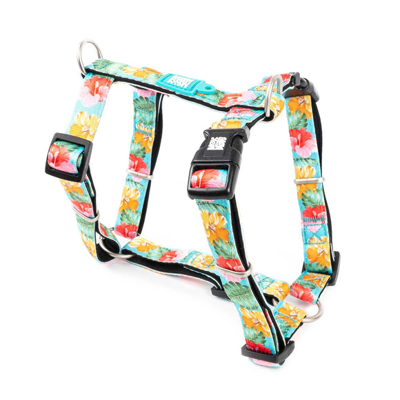 Max&Molly Exotique H-Harness – Colorful Adjustable Design, Medium Size, Comfortable Fit