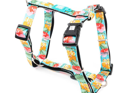 Max&Molly Exotique H-Harness – Colorful Adjustable Design, Medium Size, Comfortable Fit