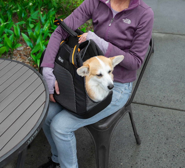 Kurgo Explorer Carrier Large – Lightweight Travel Bag, Breathable Mesh Panels, Holds Up to 9kg