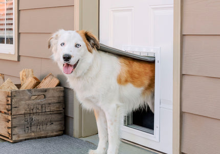 PetSafe Extreme Weather Aluminum Pet Door – XL Heat-Insulating Reinforced Metal Entryway