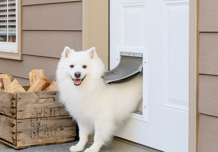 PetSafe Extreme Weather Aluminum Pet Door – XL Heat-Insulating Reinforced Metal Entryway