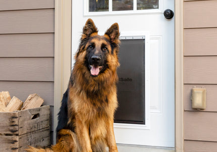 PetSafe Extreme Weather Aluminum Pet Door – XL Heat-Insulating Reinforced Metal Entryway