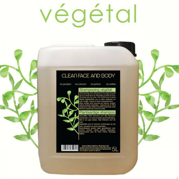 Diamex Clean Face and Body Shampoo – Gentle Plant-Based Formula, Suitable All Coat Types, 5L