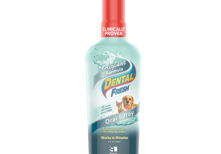 SynergyLabs Dental Fresh Oral Spray – Advanced Oral Hygiene Formula, 118ml Bottle