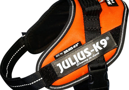 Julius-K9 IDC Powerharness UV Orange – Premium Adjustable Harness, Size 4, High-Visibility Design