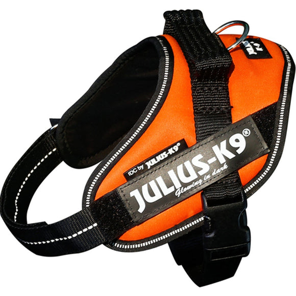 Julius-K9 IDC Powerharness UV Orange – Premium Adjustable Harness, Size 4, High-Visibility Design