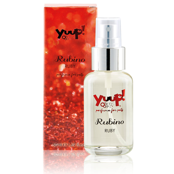 Yuup! Fashion Perfumes Set – Exclusive Fragrances Collection with Display and Testers, 30x50ml