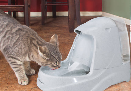 PetSafe Drinkwell Platinum Water Fountain – Large 4.97L Capacity with Extra Tank, Continuous Fresh Flow