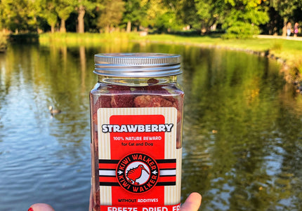 Kiwi Walker Freeze-Dried Strawberry Snacks – 100% Natural Fruit Treats, 25g