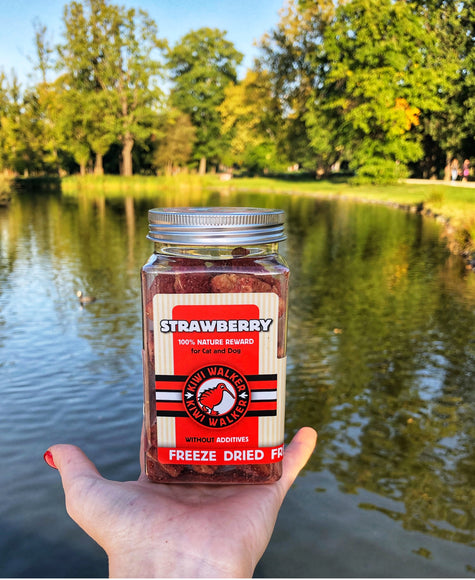 Kiwi Walker Freeze-Dried Strawberry Snacks – 100% Natural Fruit Treats, 25g