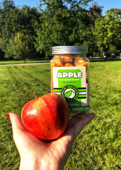 Kiwi Walker Apple Snacks 35g – 100% Freeze-Dried Natural Fruit Treats, Single Ingredient