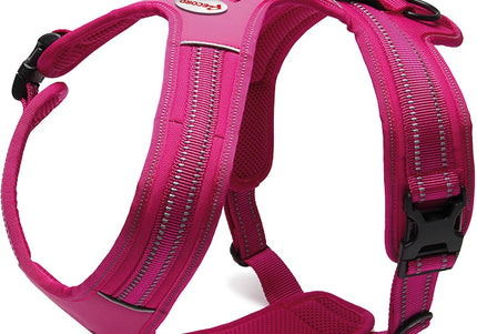 Record Action Alpi Harness Fuchsia – Reflective, Comfortable Dog Harness, XL Size