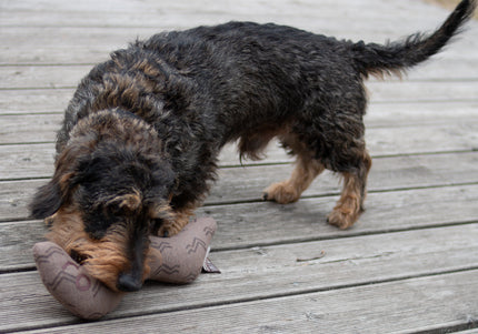 Kiwi Walker 4 Elements Eco Worm 31cm – Eco-Friendly Minimalist Dog Toy, Durable Design