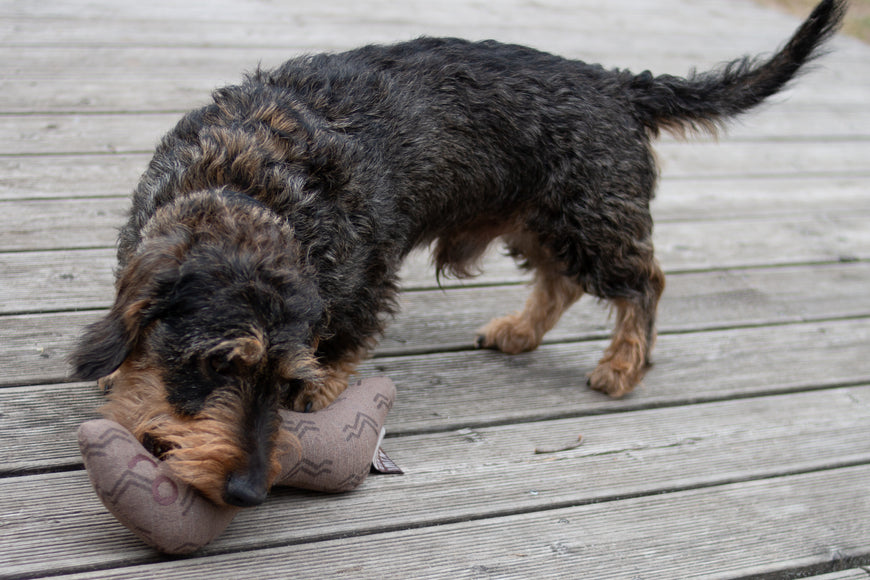 Kiwi Walker 4 Elements Eco Worm 31cm – Eco-Friendly Minimalist Dog Toy, Durable Design