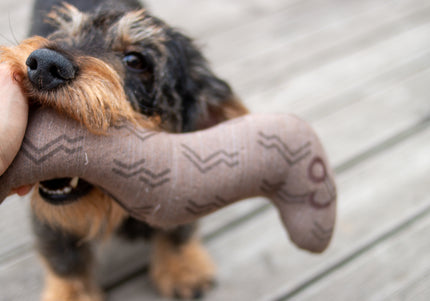 Kiwi Walker 4 Elements Eco Worm 31cm – Eco-Friendly Minimalist Dog Toy, Durable Design