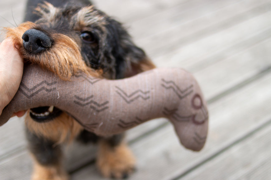 Kiwi Walker 4 Elements Eco Worm 31cm – Eco-Friendly Minimalist Dog Toy, Durable Design