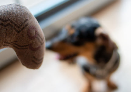 Kiwi Walker 4 Elements Eco Worm 31cm – Eco-Friendly Minimalist Dog Toy, Durable Design