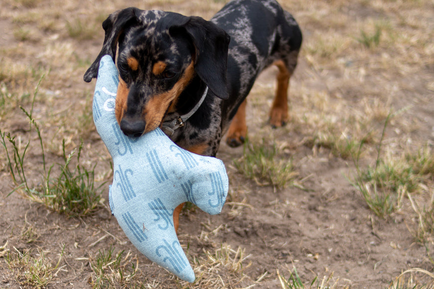 Kiwi Walker 4 Elements Eco Bird 31cm – Eco-Friendly Minimalist Dog Toy, Durable Design