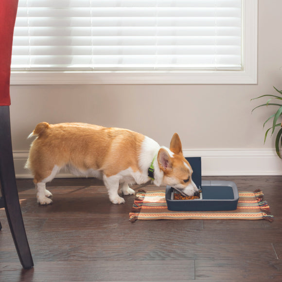 PetSafe Digital 2 Meal Feeder – Dual-Chamber Food Dispenser with LCD Display, Timed Meals