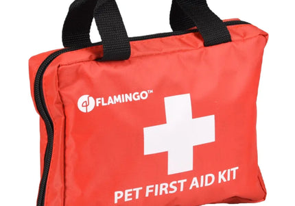 Flamingo Resku Premium First Aid Kit – Large Size, Comprehensive Emergency Care Set